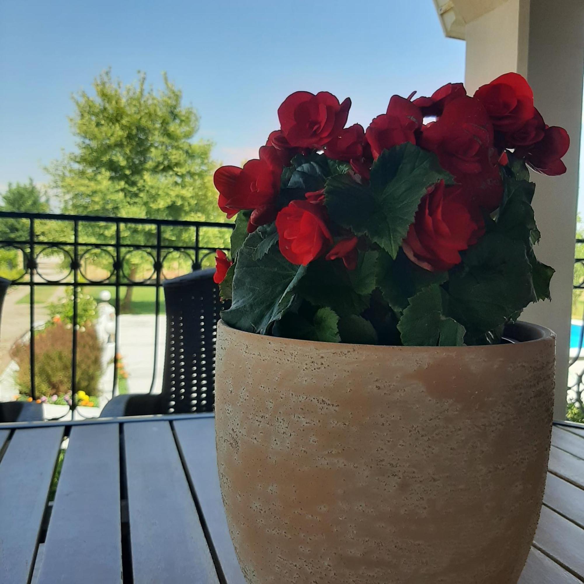 Villa Αρχοντικό Παπανικολάου Ligaria  Exterior foto